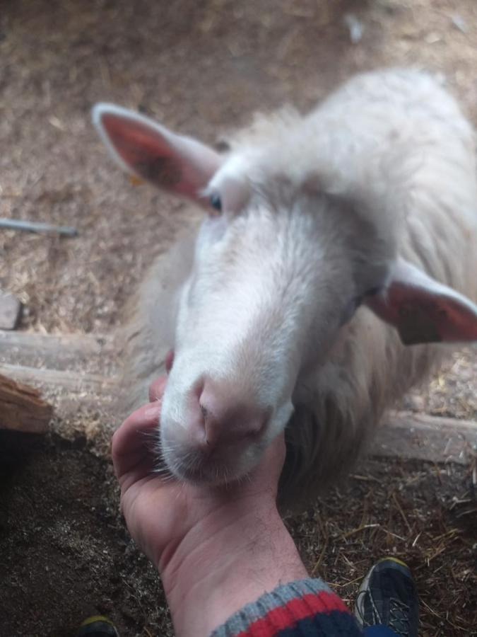 Agrifarm La Corte Apartment Villa Bensi エクステリア 写真